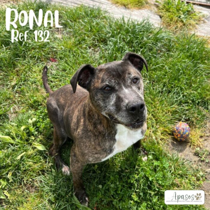 RONAL