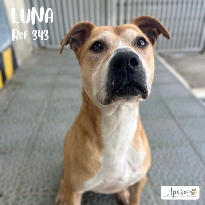 LUNA