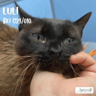 LULI