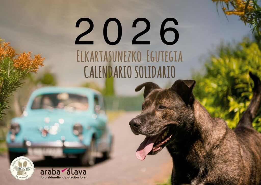 Calendario Solidario