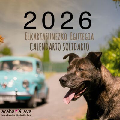 baa5c460-6ecb-4330-ac86-0c06b21115a7