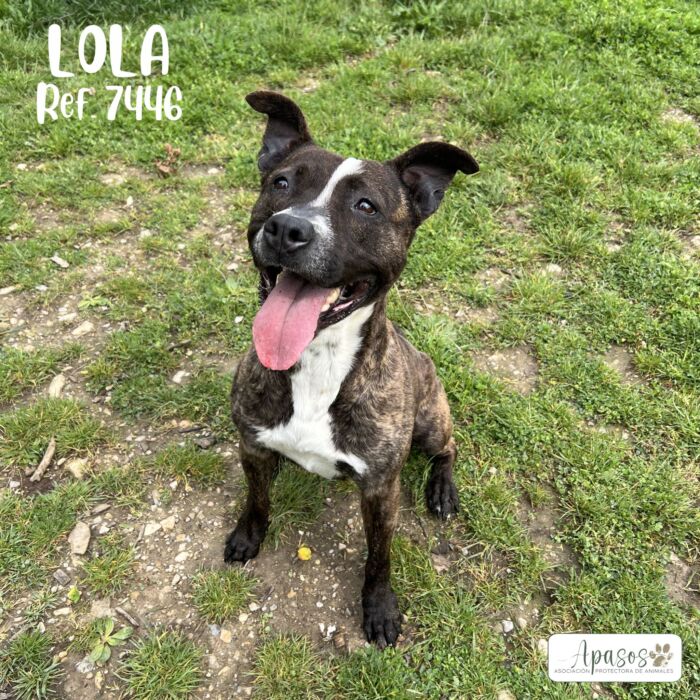 LOLA