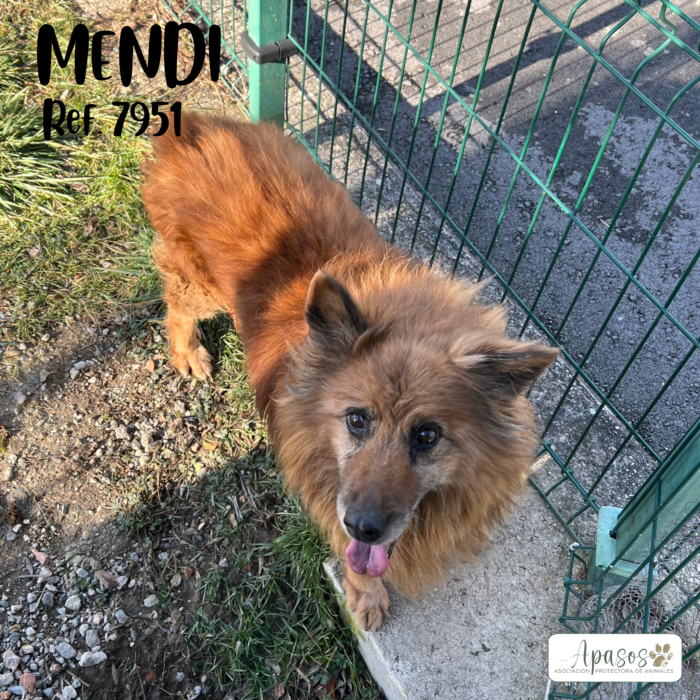 MENDI