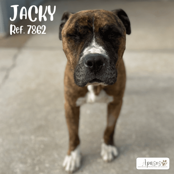 JACKY