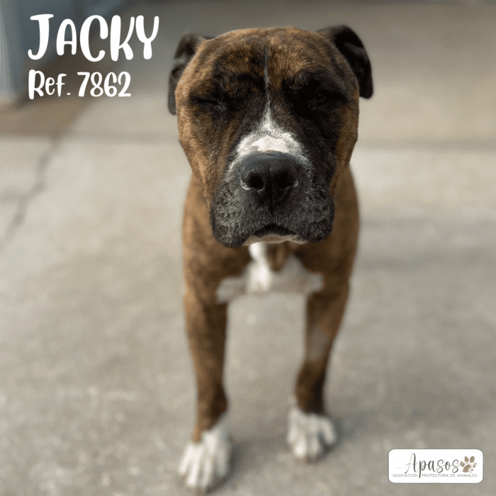 JACKY