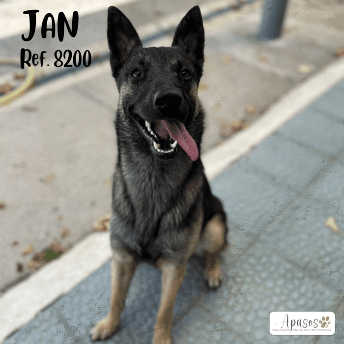 JAN