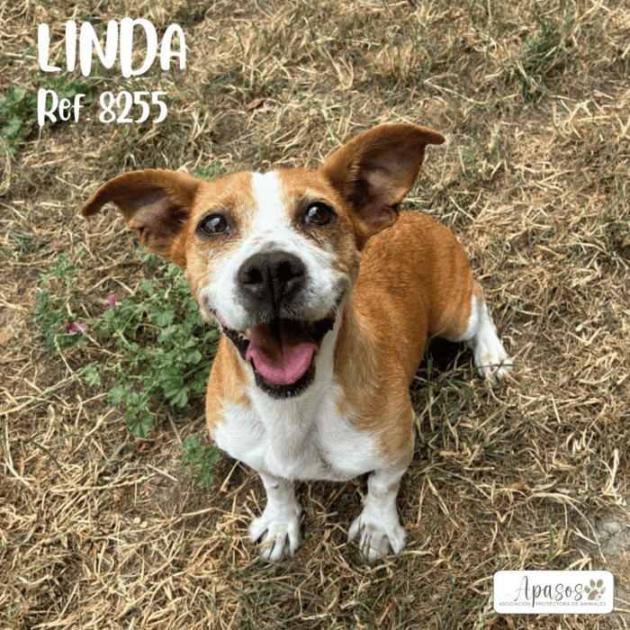 LINDA